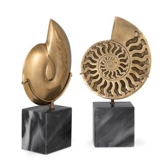 Object Ammonite vintage brass finish set of 2