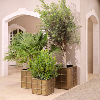 Planter Grid L vintage brass finish