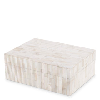 Box Scoop S natural bone