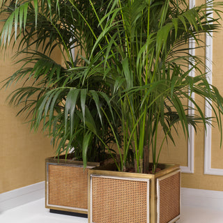 Planter Tropea vintage brass finish