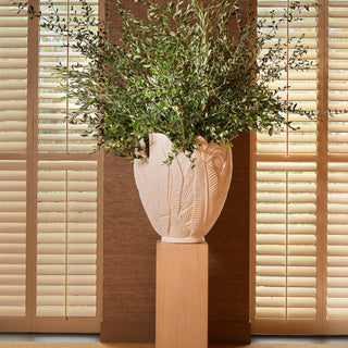 Planter Zanzibar