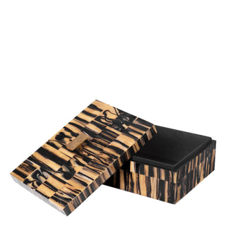Box Capitola S black brown