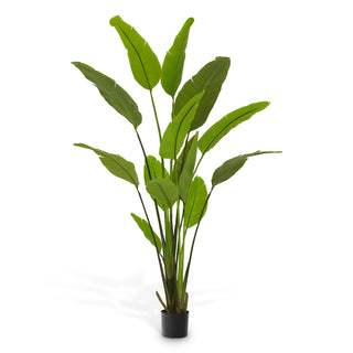 Artificial Plant Strelitzia M