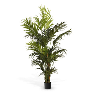 Artificial Plant Kentia Palm