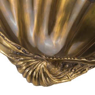 Brass Shell Decor Object Amandine