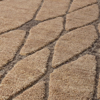 Rug Coralie brown beige 300 x 400 cm