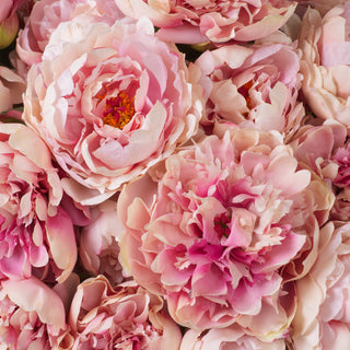 Bouquet of Peonies pink tones real touch 48 pcs/2 varieties