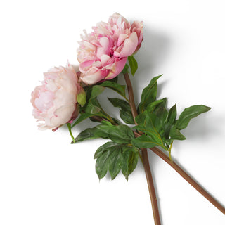 Bouquet of Peonies pink tones real touch 48 pcs/2 varieties