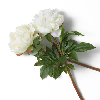 Bouquet of Peonies white tones real touch 48 pcs/2 varieties