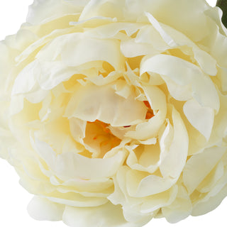 Bouquet of Peonies white tones real touch 48 pcs/2 varieties