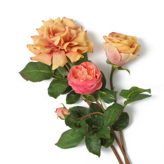 Bouquet of Roses real touch three tone peach 72 pcs/3 varieties