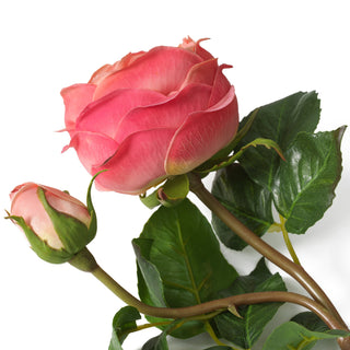 Bouquet of Roses real touch three tone peach 72 pcs/3 varieties