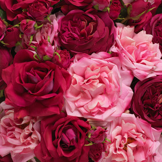 Bouquet of Roses multi color real touch 72 pcs/3 varieties
