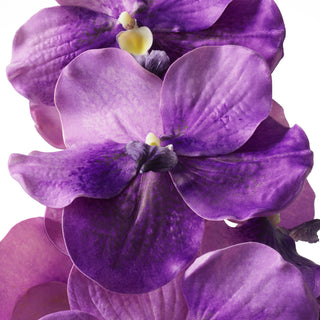 Bouquet of Vanda Orchids purple real touch 24 pcs
