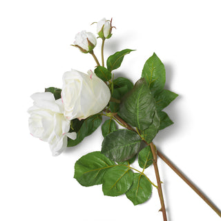 Bouquet of Roses two tone white real touch 72 pcs/2 varieties