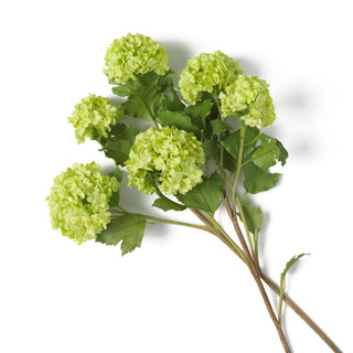 Bouquet of Hydrangeas snowball green real touch 36 pcs