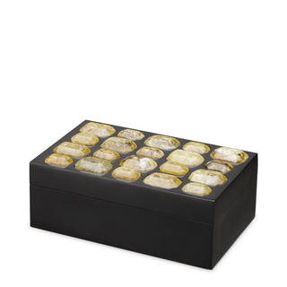 Black Faux Amber Box Lucid
