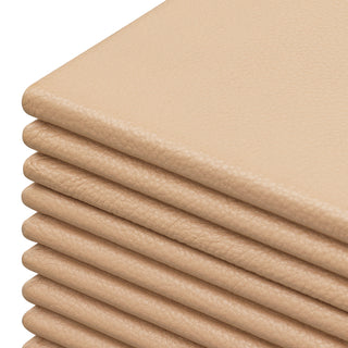 Box Elvane tan leather