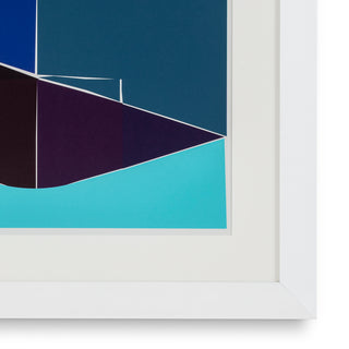 Print Silkscreen from Boissière I by Henri Boissière