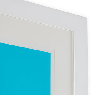 Print Silkscreen from Boissière II by Henri Boissière
