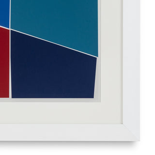 Print Silkscreen from Boissière II by Henri Boissière