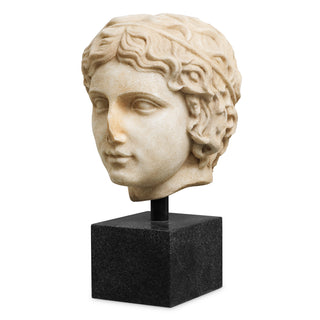 Bust of a youth marble