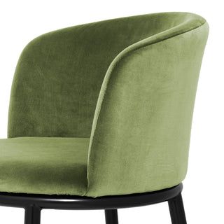 Dining Chair Filmore cameron light green set of 2
