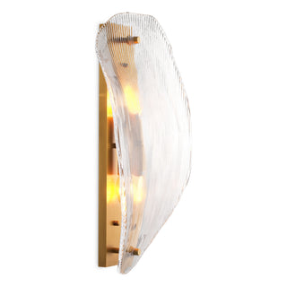 Clear Glass Wall Lamp Hibis