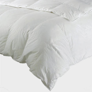 BUDAPEST YEAR ROUND COMFORTER