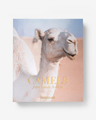 Camels from Saudi Arabia